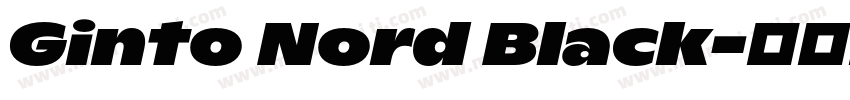 Ginto Nord Black字体转换